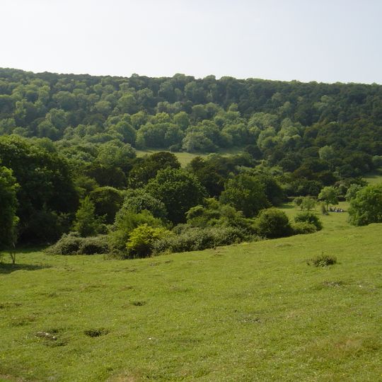 Kingley Vale National Nature Reserve