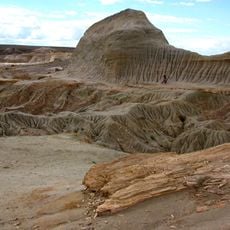 Petrified Forest of José de Ormachea