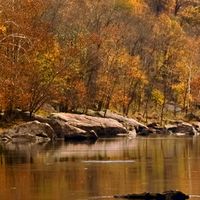 Virginia Occidentale