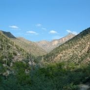 Sabino Canyon