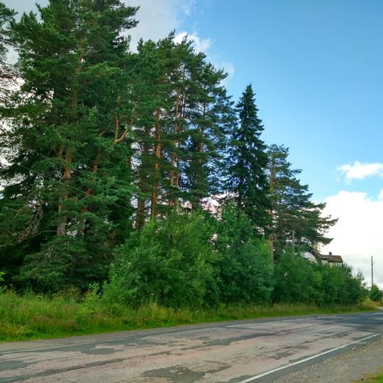 Культовая роща