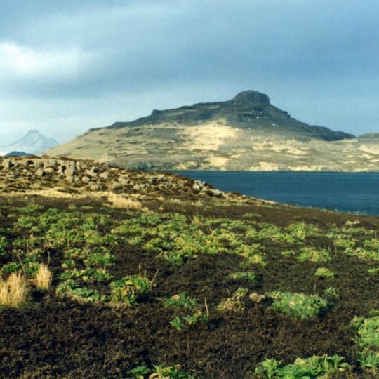 Terre Australi e Antartiche Francesi