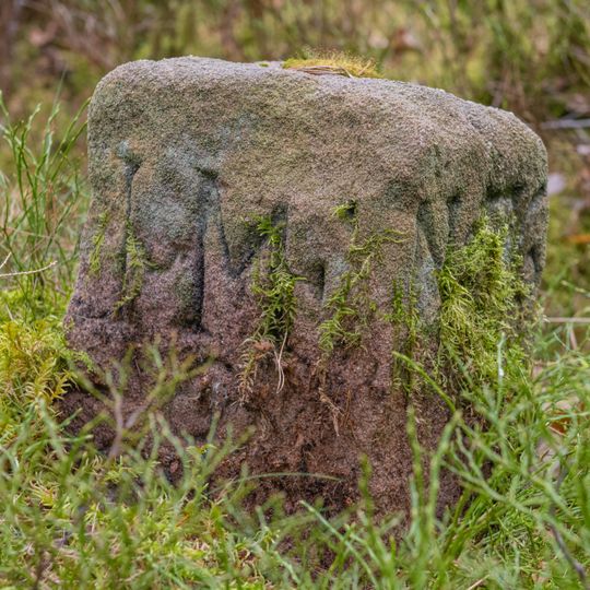 Grenzstein Fürther Stadtwald in Fürth