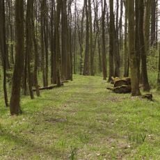 Zámecký park Liblice