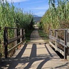 Carrilet de Girona a Olot