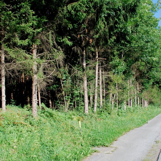 Grabhügel Höchkiegerl Frauental und Bad Gams