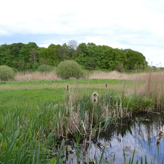 Dannauer See und Umgebung