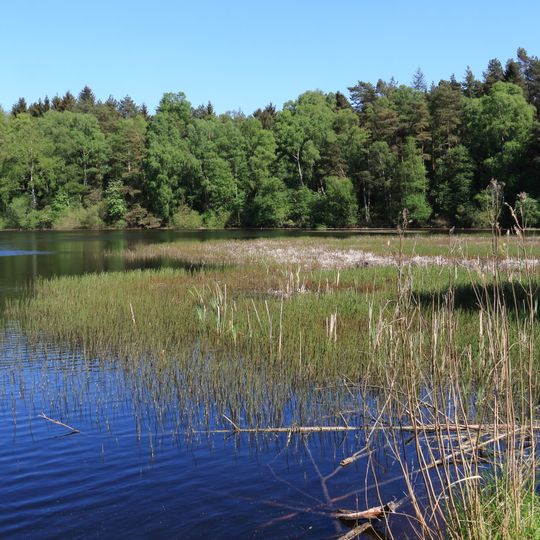 Henneckenmoor bei Scheuen