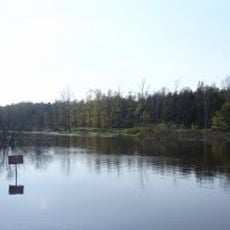 Kampinos National Park