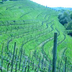 Slovene Hills