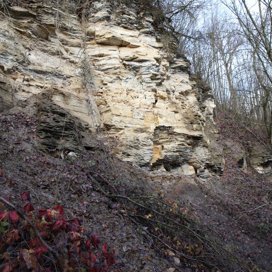 Prallhang des Mains SW von Nedensdorf