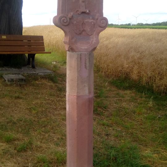 Naturdenkmal 1 Linde Hohe Bild