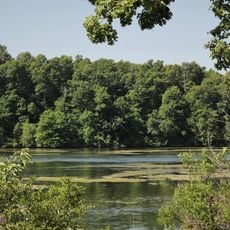 Fellows Lake