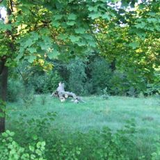 Manor park in Celejów