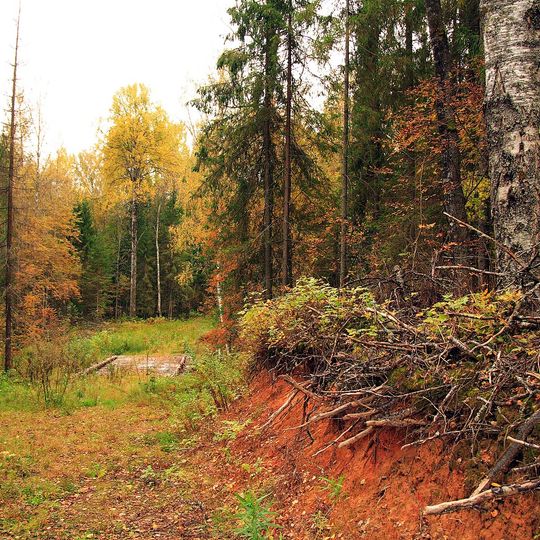 Pashskoye rural settlement