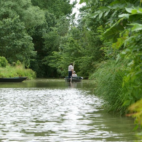 Les Oiseaux du Marais Poitevin