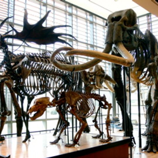 Beneski Museum of Natural History, Amherst College