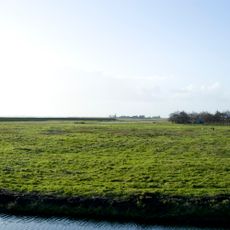 Terrein waarin een terp