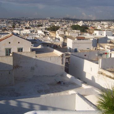 Zwiedzanie miasta Tunis