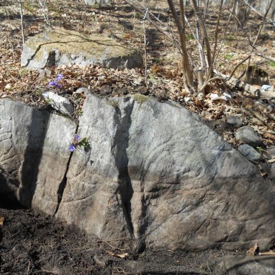 Uppland Runic Inscription 170