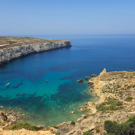 Windrose Giant Cat Weathervane