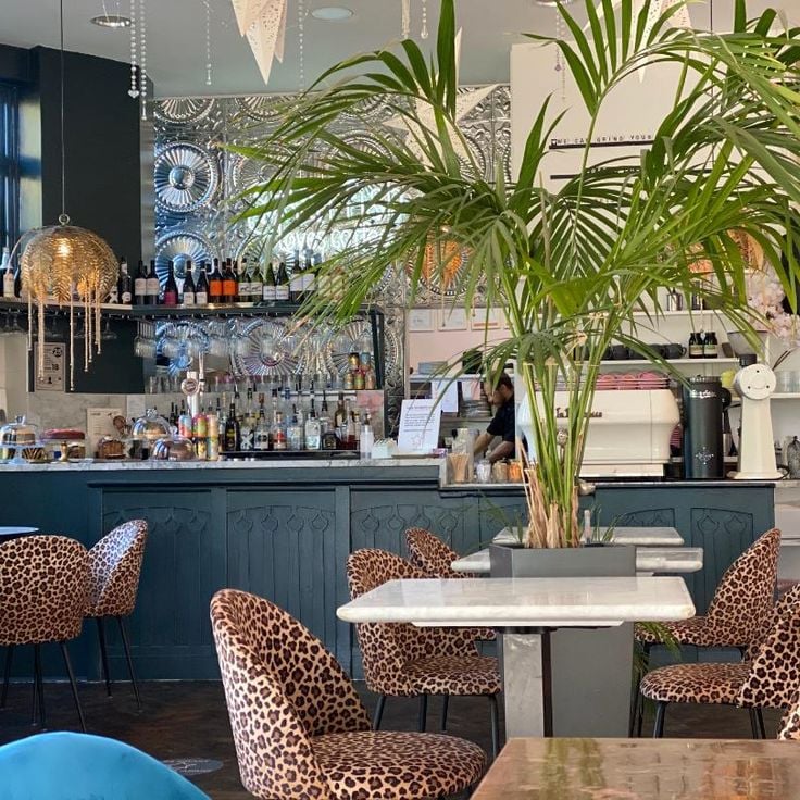 Starfish Loves Coffee