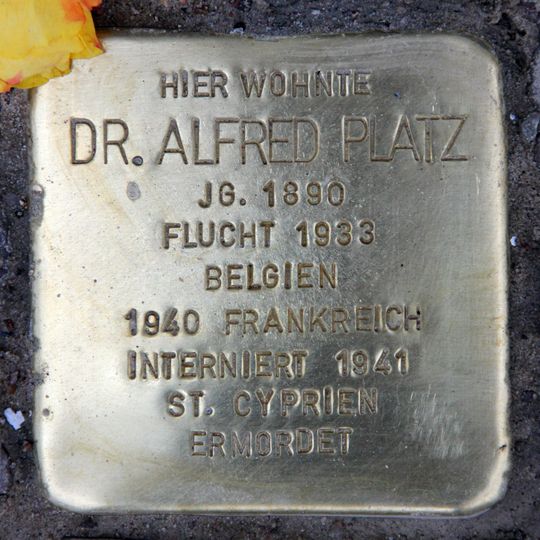 Stolperstein en memoria de Dr. Alfred Platz