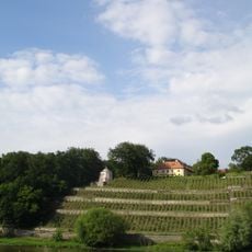 Dinglingers Weinberg