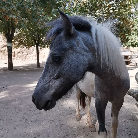 Jardin Animalier de Mialet