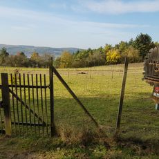 Wedding Forest Tauberbischofsheim
