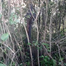 Kříž u Bendova Záhoří