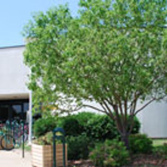 Brooklyn Park Library