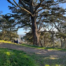Strawberry Hill