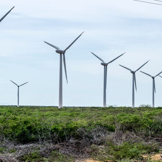 Municipio Los Taques