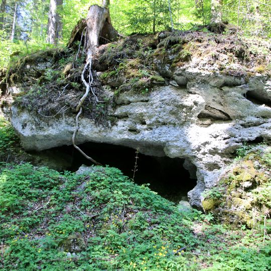 Mindelzeitliche Nagelfluh E von Pelletsmühl