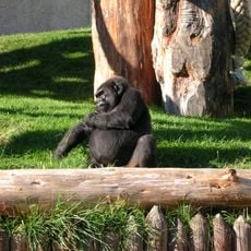 Espace zoologique de Saint-Martin-la-Plaine