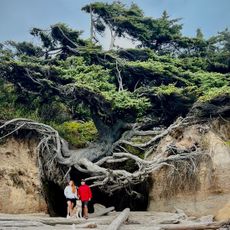 Tree of Life