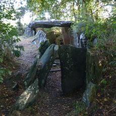 Liscuis gallery graves