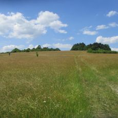 Landschaftsschutzgebiet "Gebberg bei Fechingen"