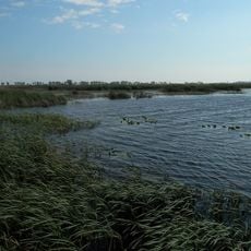 Big Creek National Wildlife Area
