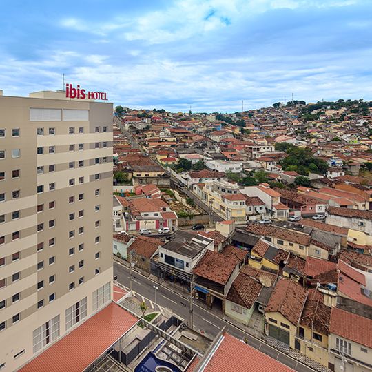 Ibis Jacarei