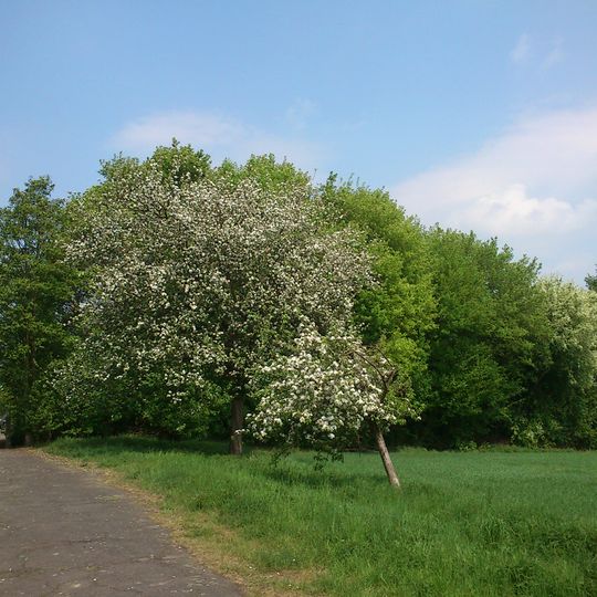 Umfeld Universität Dortmund