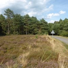 Rössenbergheide-Külsenmoor