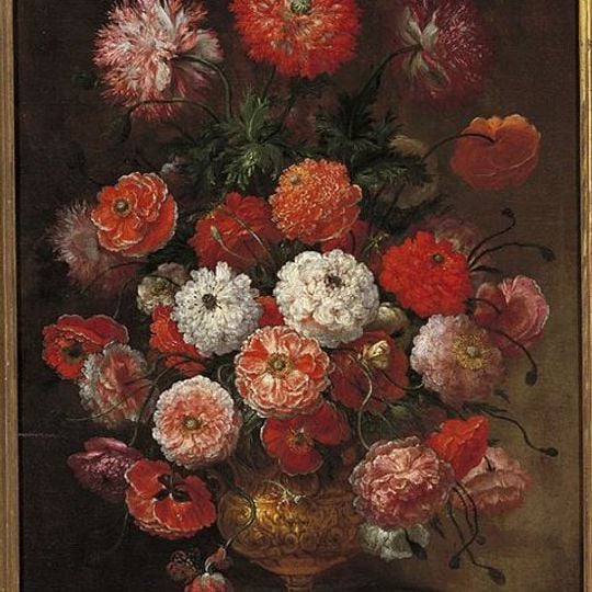 Museo della natura morta