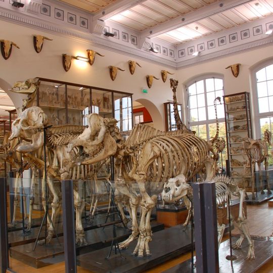 École Nationale Vétérinaire d'Alfort