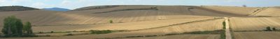 Panoramic View 1