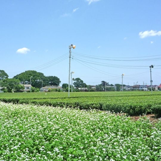 Tokorozawa-Shinmachi
