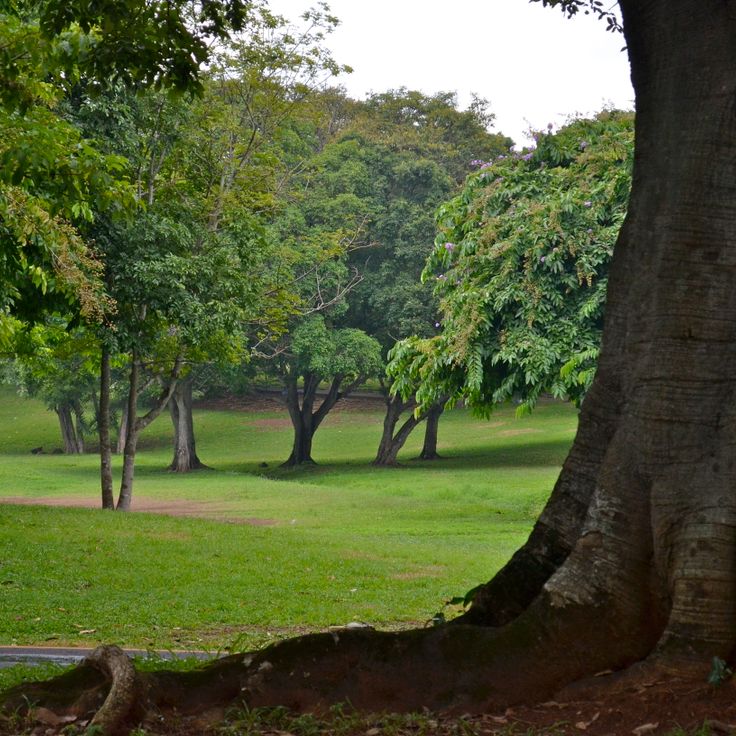 Omar Torrijos Herrera National Park
