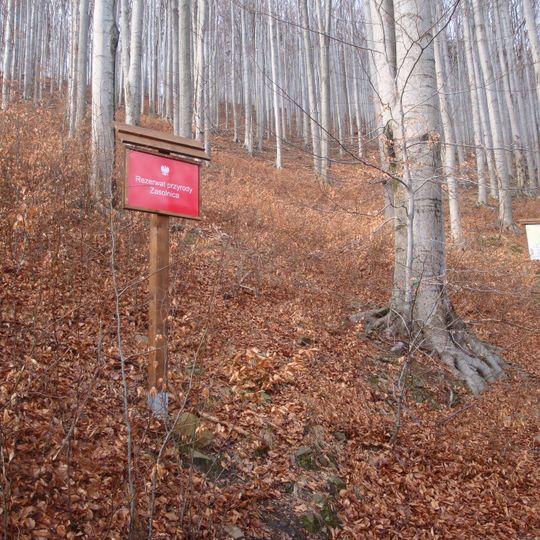 Nature reserve Zasolnica