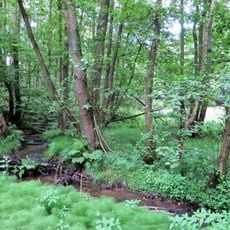 Funckenhauser Bachtal